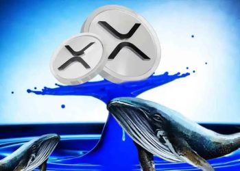 XRP News: Whale Accumulation Skyrockets, Is A XRP Price Rally Ahead?
