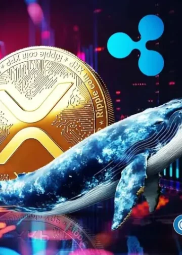 XRP News: Key Ripple Whale Indicator Turns Bullish After 4 Months, Price Rally Ahead?