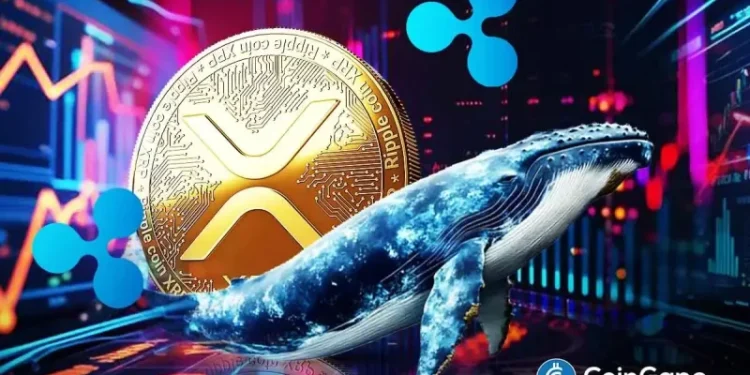 XRP News: Key Ripple Whale Indicator Turns Bullish After 4 Months, Price Rally Ahead?