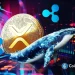 XRP News: Key Ripple Whale Indicator Turns Bullish After 4 Months, Price Rally Ahead?