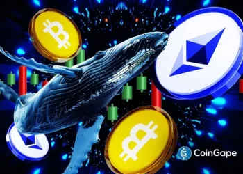 Whales and Institutions Bet Big On Bitcoin And Ethereum Despite Market Dip