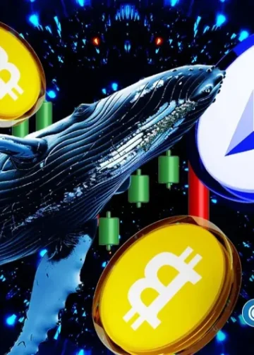 Whales and Institutions Bet Big On Bitcoin And Ethereum Despite Market Dip