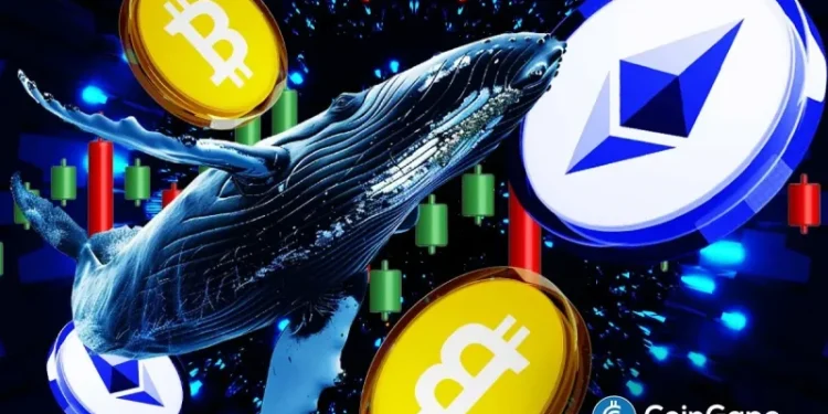 Whales and Institutions Bet Big On Bitcoin And Ethereum Despite Market Dip