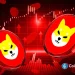Shiba Inu Price Could Rally As SHIB Burn Rate Surges 790% in 24H
