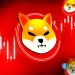 Shiba Inu Price Soars 5%: Is SHIB About to Erase Another Zero?