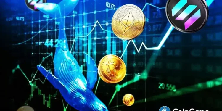 Dormant Bitcoin Whale Awakens with $30M Profit