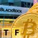 Breaking: US SEC Deliberates on Approving FLEX Options on BlackRock Bitcoin ETF (IBIT)