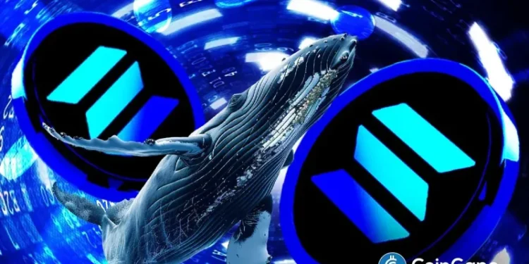 Solana Price Targets $200 Amid Increased Whale Accumulation