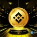Will the Binance Coin Price Rebound as a Key RWA Metric Jumps 99%