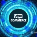 Best Crypto Payment Plugins for WooCommerce  [2026 Guide]