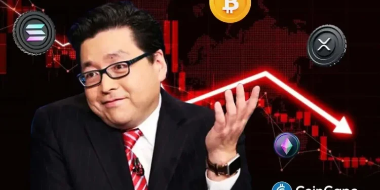 Crypto Crash Deepens as Tom Lee Warns of “Painful Decline” in 2026 Before Late-Year Bounce