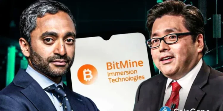 MrBeast Over Ethereum? Is ETH Treasury Firm Bitmine In Trouble As Investors Rush to Sell BNMR Stock