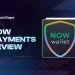 NOWPayments Review 2026 : Features, Fees & Is It Worth It?