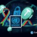 Tether and UN Join Forces for Africa’s Crypto Security as USDT Adoption Grows Across Nigeria