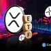 XRP Risks Deeper Fall as Spot XRP ETFs Record Largest-Ever Outflow