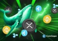 XRP Whale Inflows on Binance Hit 2-Year Low; Ripple Token Price Slips