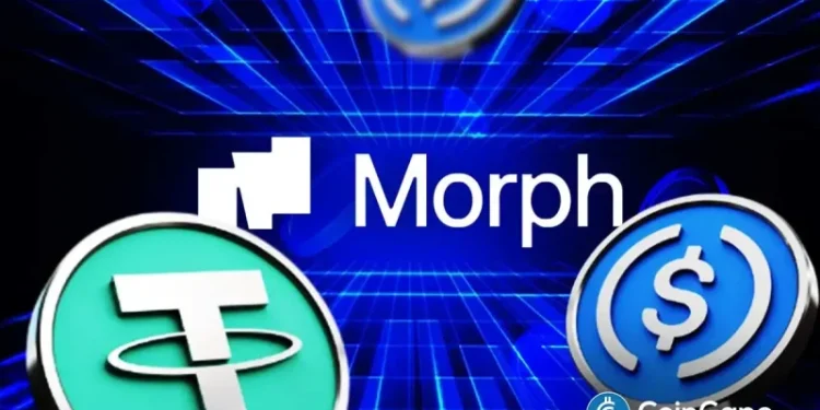 Stablecoins Gain Infrastructure Boost as Morph Backs Startups with $150M