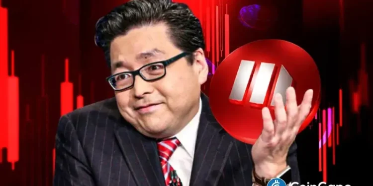 Tom Lee Flags Potential Bottom as MSTR Becomes the Most Shorted Large-Cap Stock