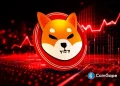 Why Shiba Inu Price Is Not Rising?