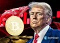 Will Bitcoin Crash Again as ‘Trump Insider’ Whale Dumps 6,599 BTC