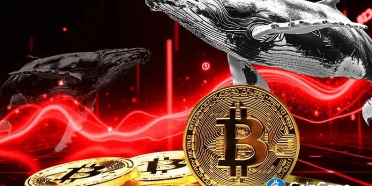 Bitcoin Price Faces Further Crash as Whales Liquidates Recently Bought BTC: Report